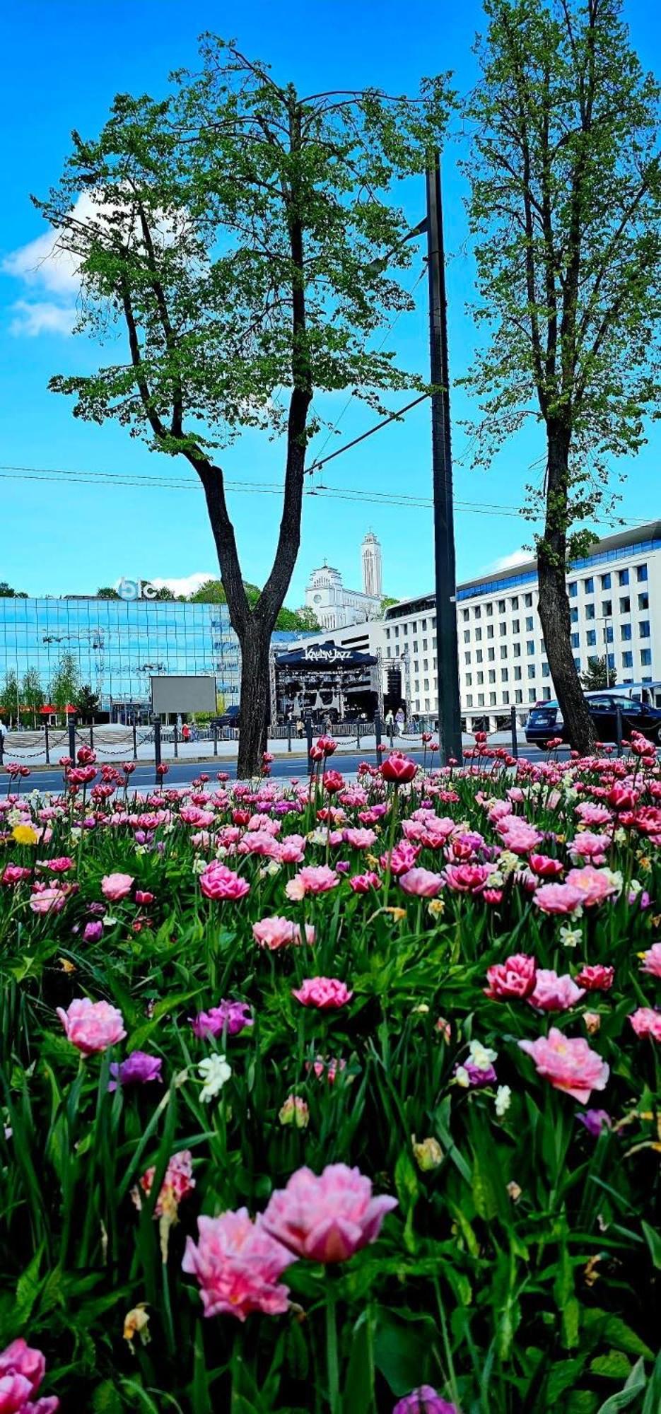 Radio City Loft - Apartment 420 Kaunas Dış mekan fotoğraf